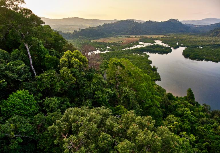 Greenery and trees frame a river leading to a mountain.